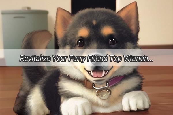 Revitalize Your Furry Friend Top Vitamins to Combat Severe Dog Hair Loss